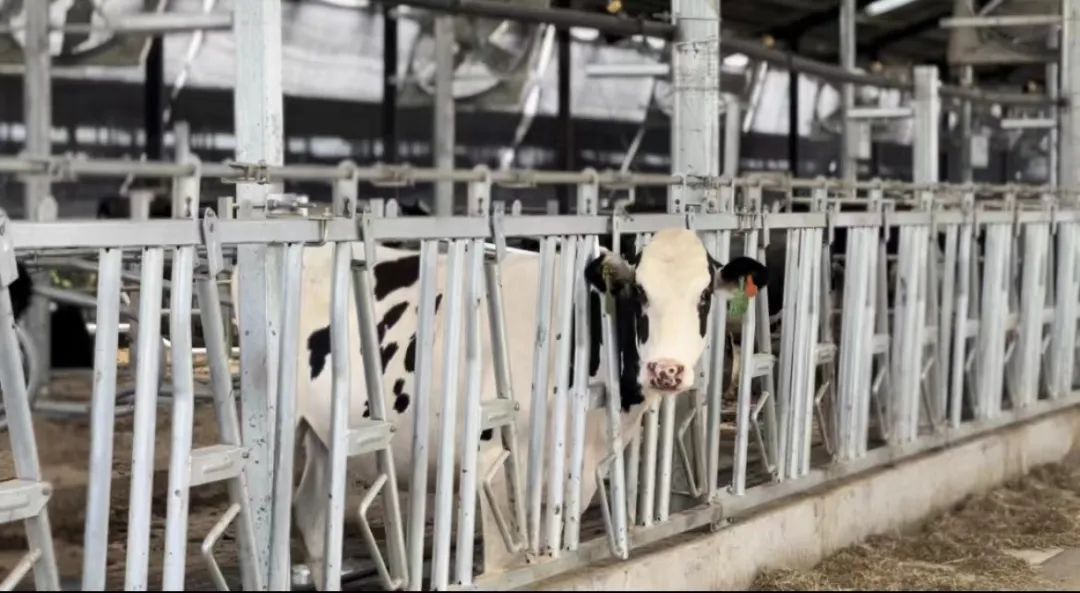 304am永利集团官网(中国)有限公司-Official Website