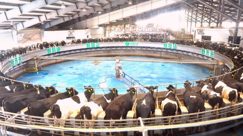 304am永利集团官网(中国)有限公司-Official Website